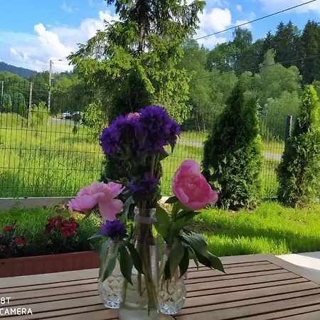 Miedzy Wierchami * Ponice