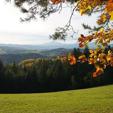 Villa Miedzy Wierchami *