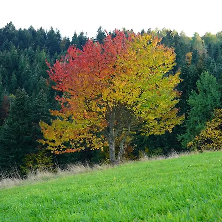 Miedzy Wierchami Villa *