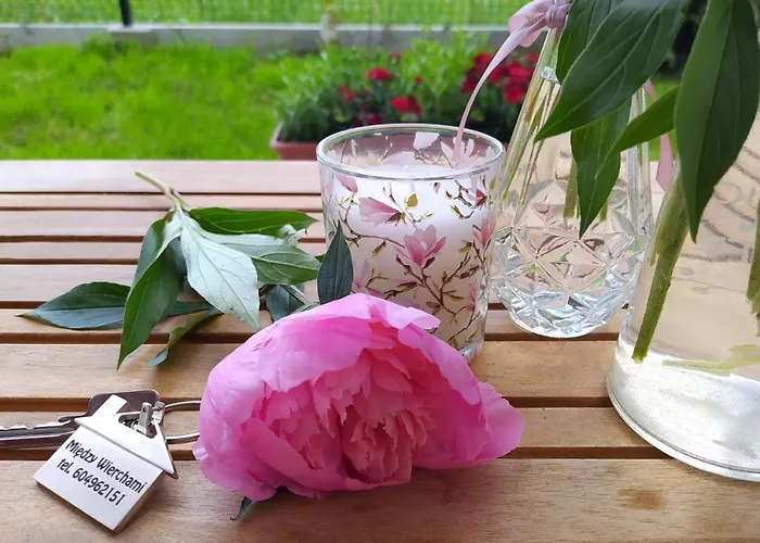 Miedzy Wierchami Ponice