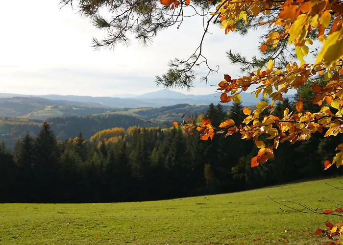 Villa Miedzy Wierchami *