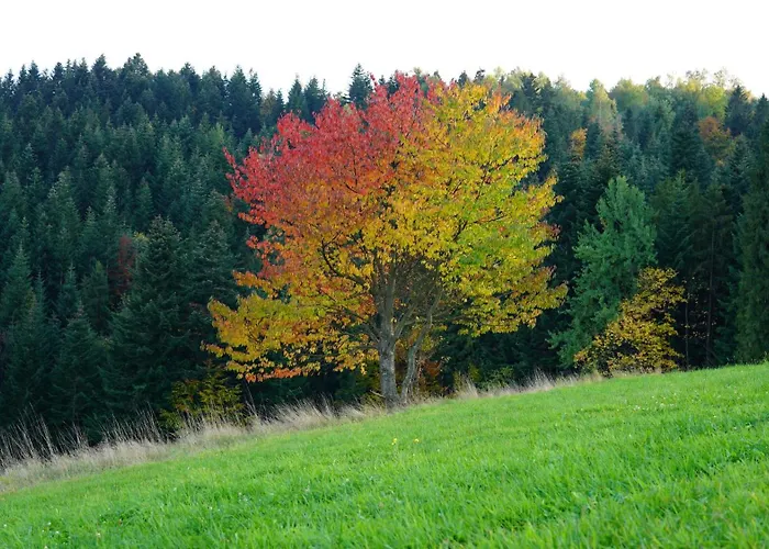 Miedzy Wierchami Villa *